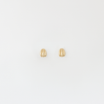 Cove Studs | 14K Gold Seashell Stud Earrings